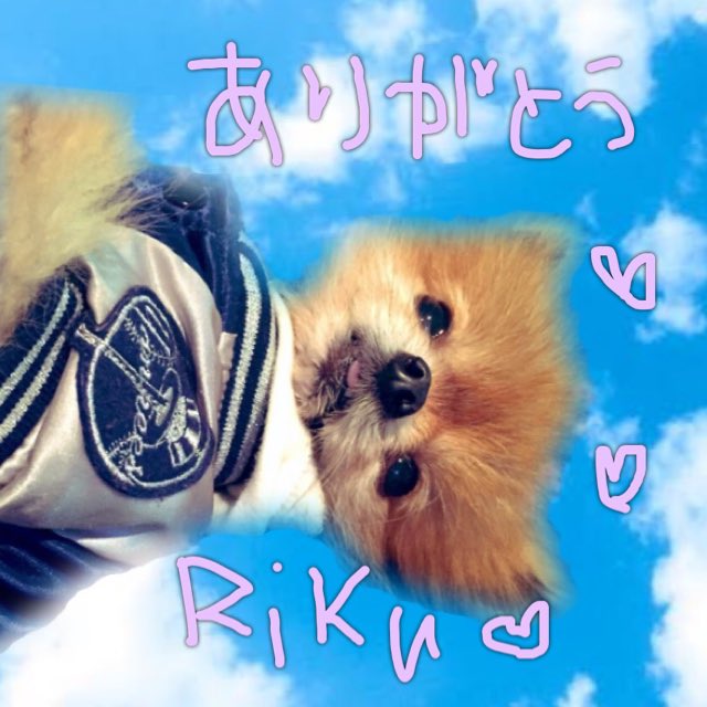 れいちぇる (@RikuxForever) / Posts / X