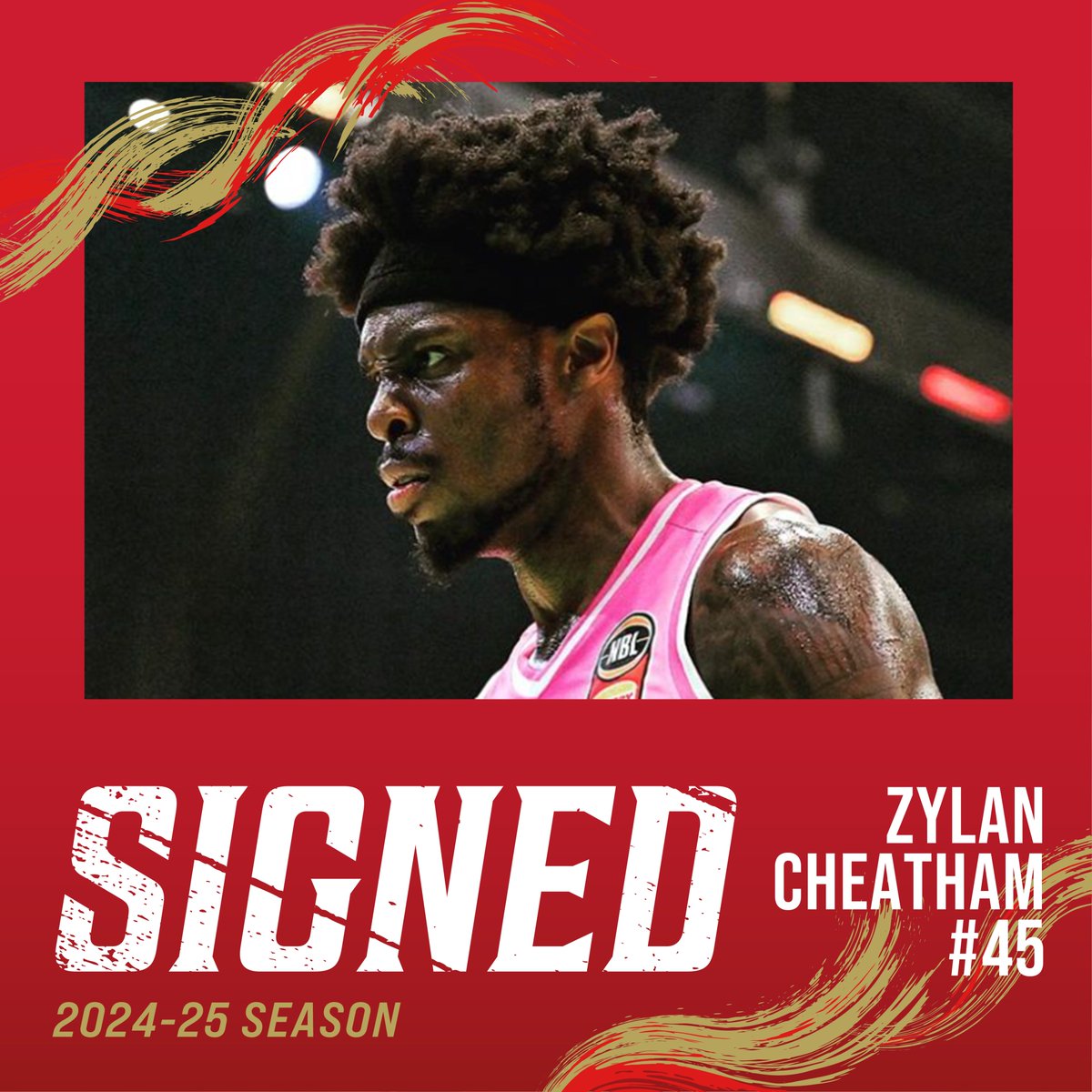 ━━━━━━━━━━━━━━━━━━ WELCOME TO DOLPHINS