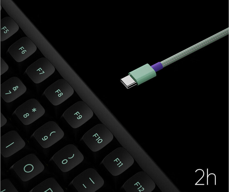 AESCO A67/A83 電気誘導ワイヤレスRTホットスワップ可能メカニカル