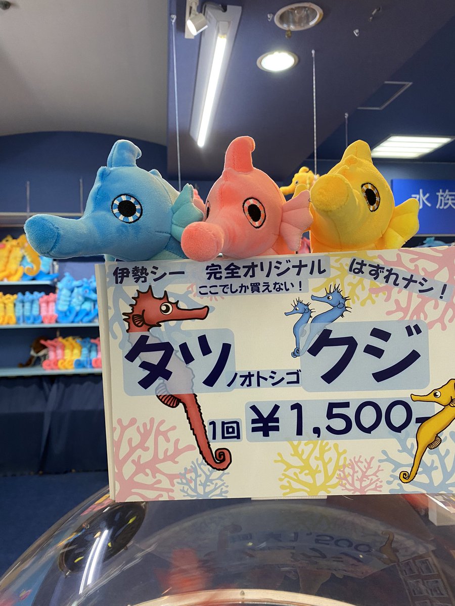 またまたお知らせです‼️ 遂に…！遂に…！ 飼育員待望のシーパラ公式