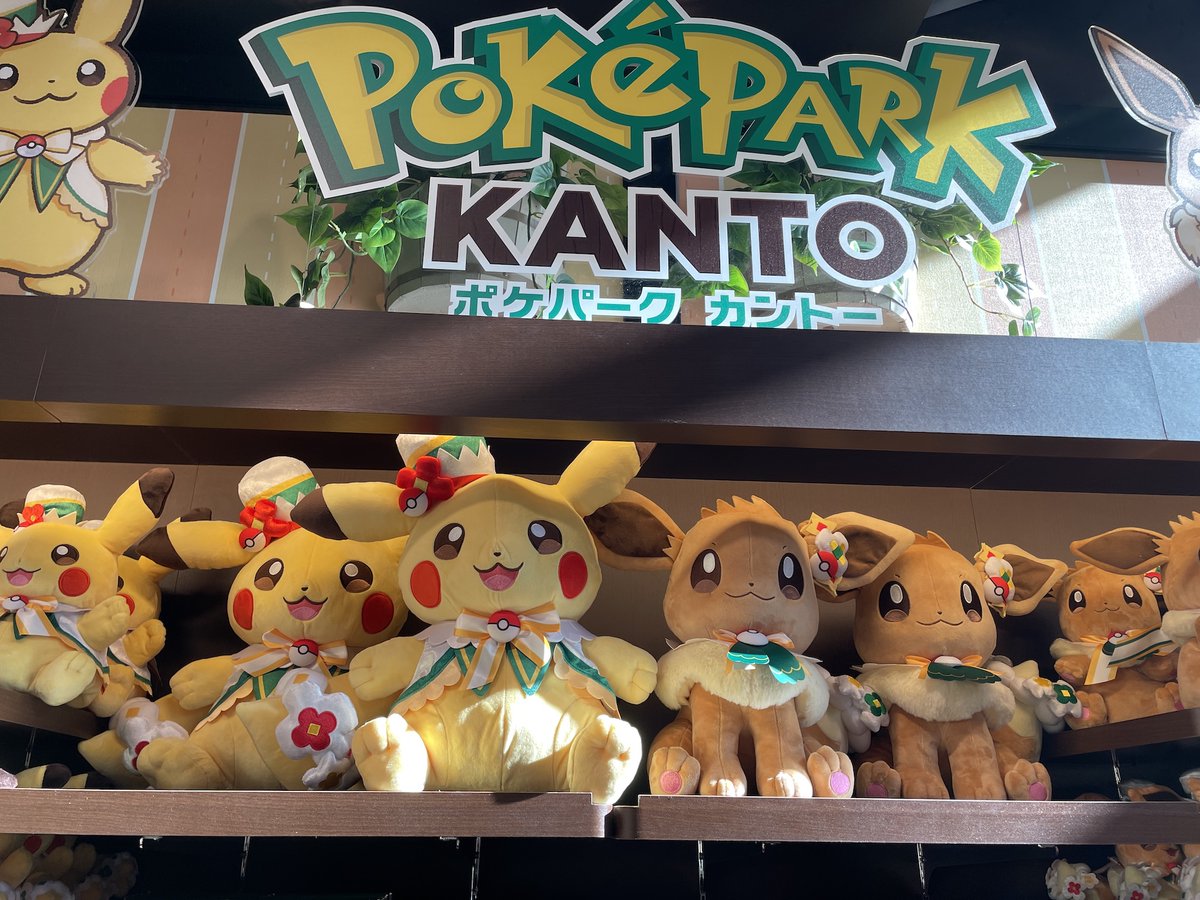 ポケパーク カントー オリジナルグッズ紹介 イーブイの大きな