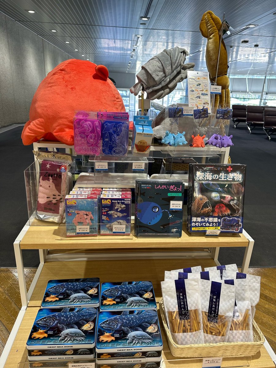 ギフトショップよりお知らせ 「Deep of Wonder──不思議な深海の