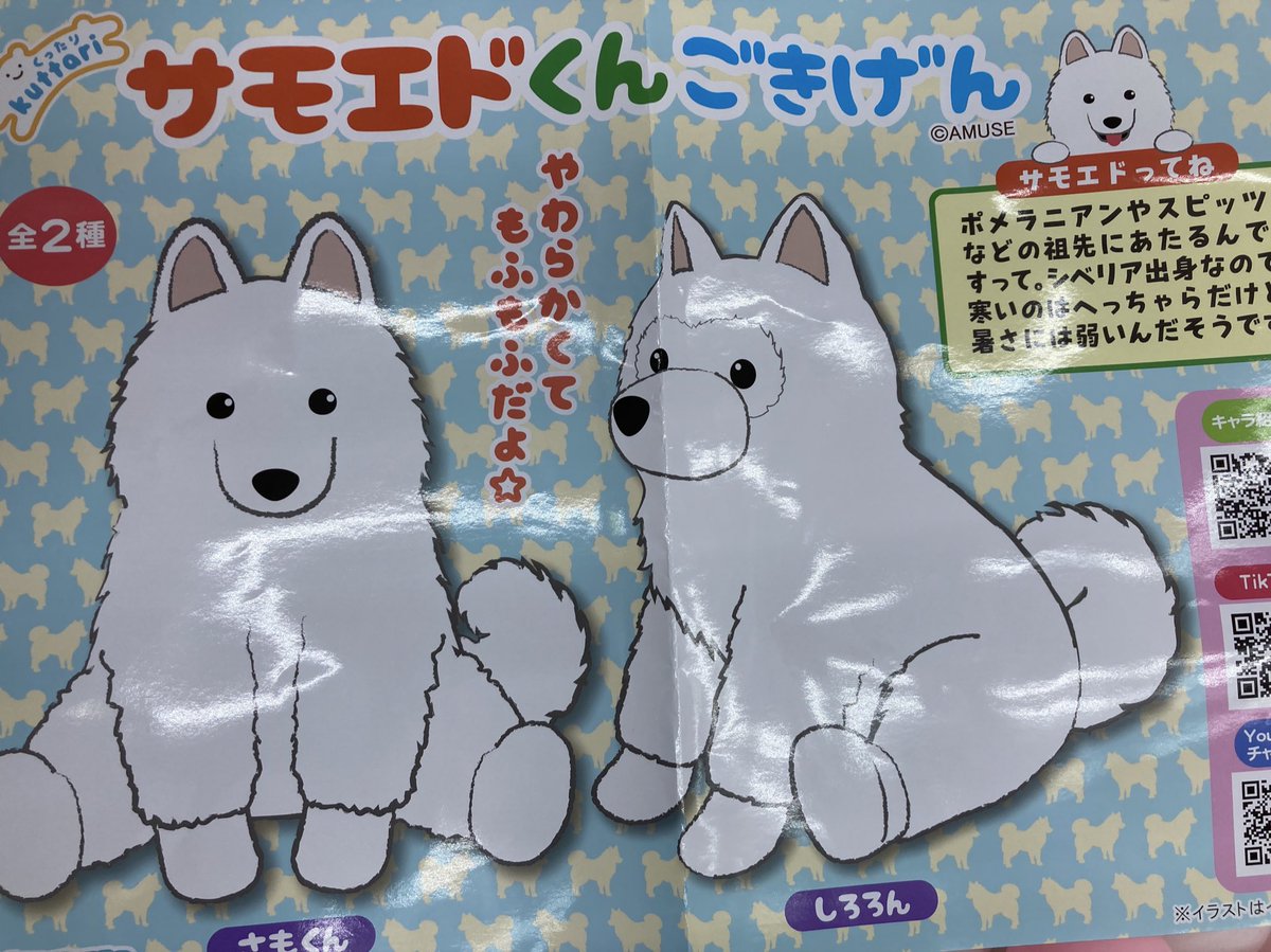 くったりサモエドくんごきげん VMCぬいぐるみマスコット しろろん くっ