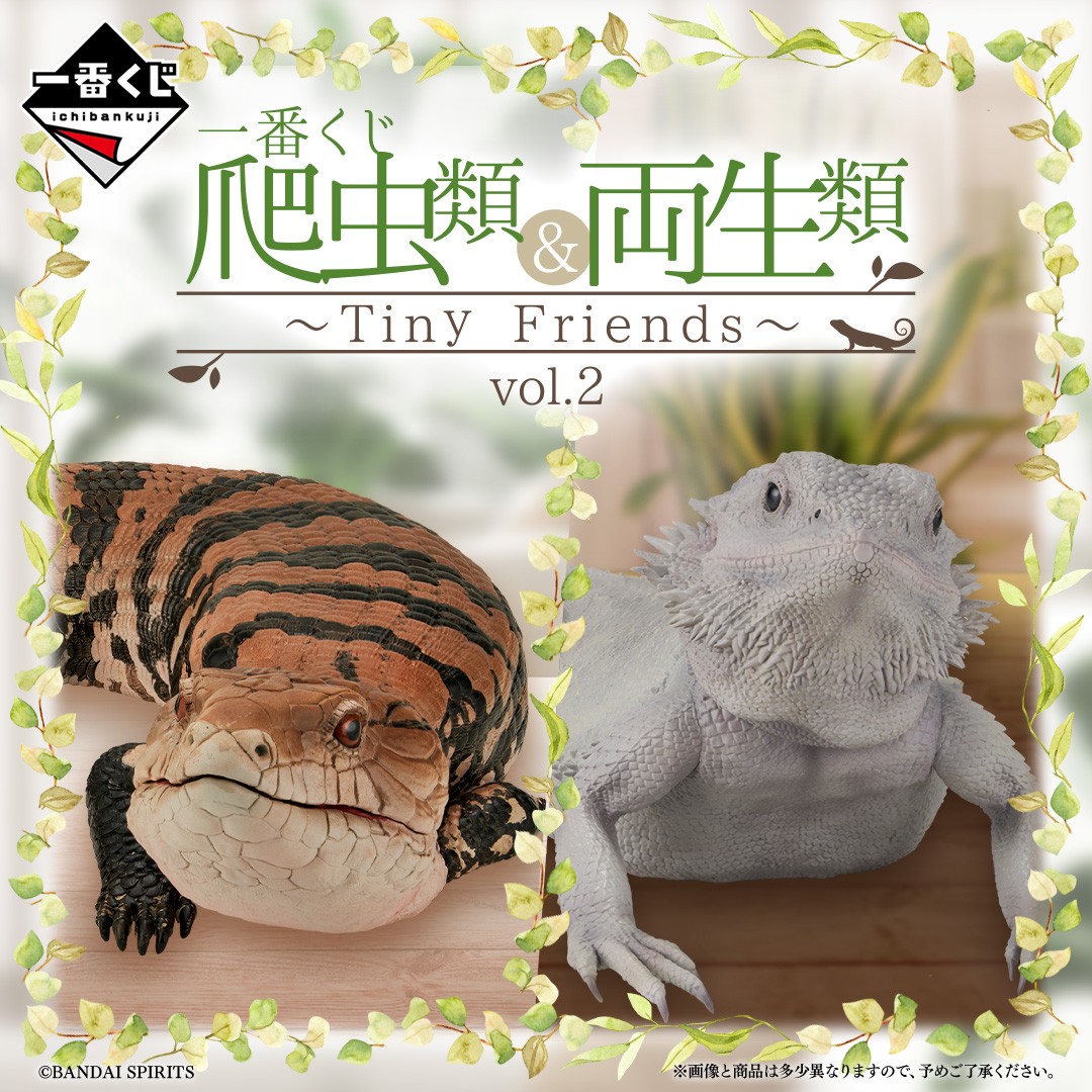 GpRS45sbYAM8eSX.jpg?format=jpg