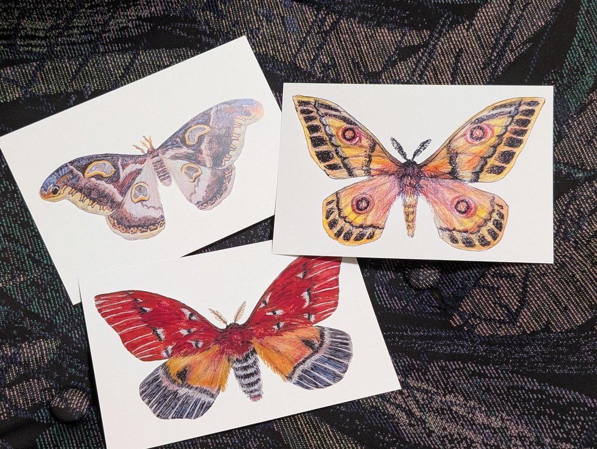 M0 (@mom0mom0mom0m00) / Posts / X