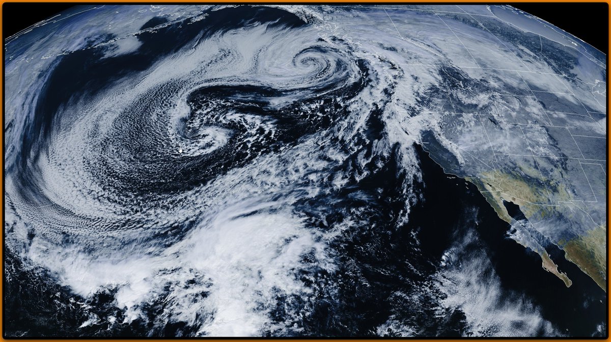 What a beauty! Check out the gorgeous 