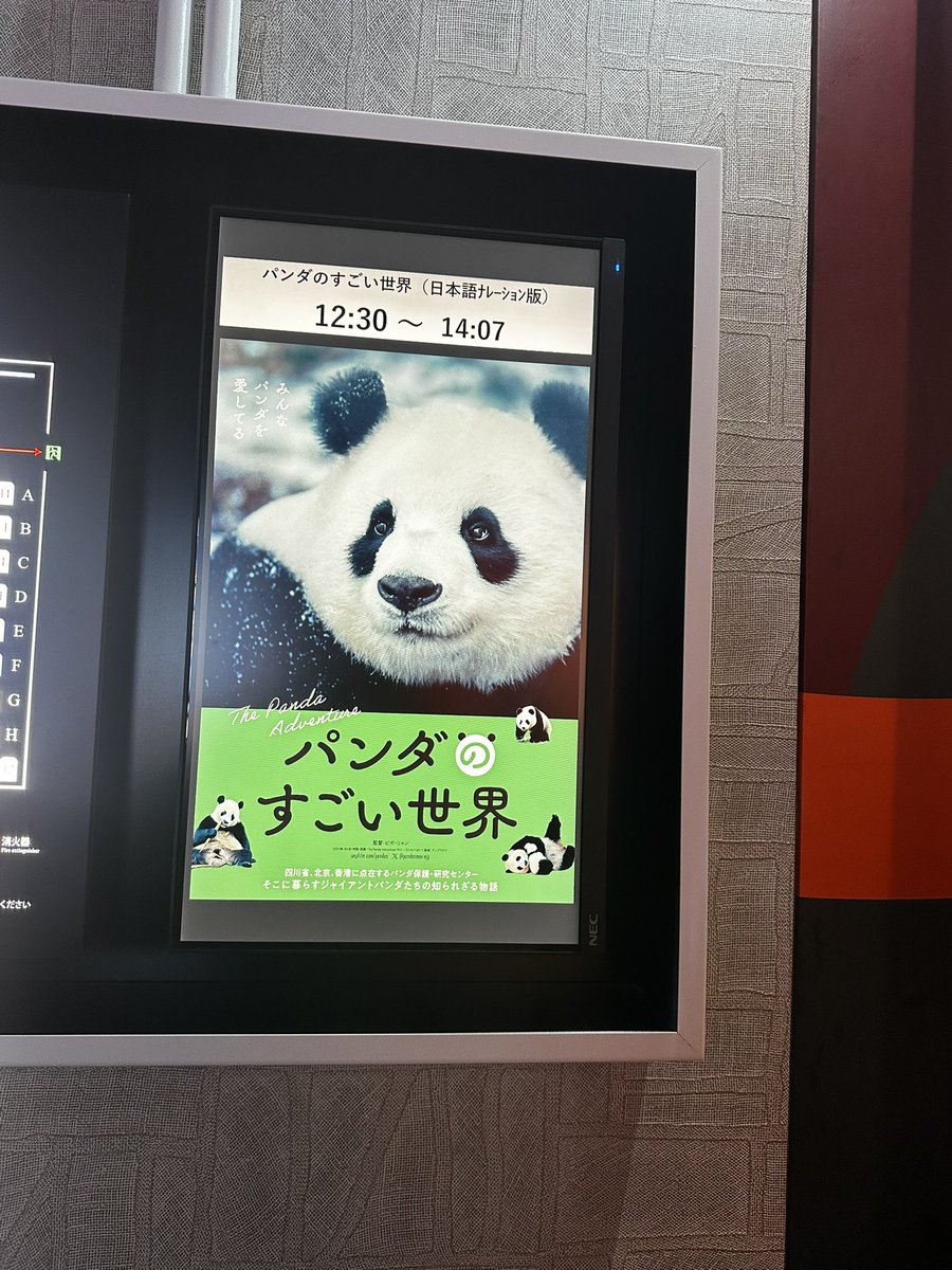 パンダのすごい世界 観てきた〜 パンダ不足だったから とても癒された