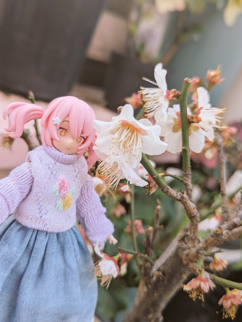 poppo715 (@poppo715poppo) / Posts / X