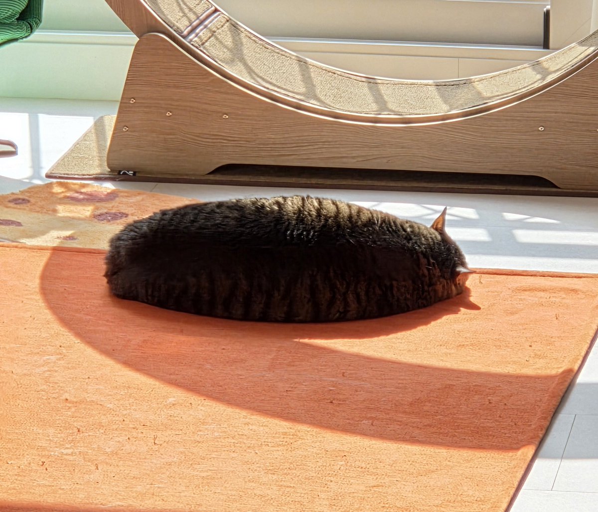 純粋な不純物@순수한불순물 (@parang9494) / Posts / X