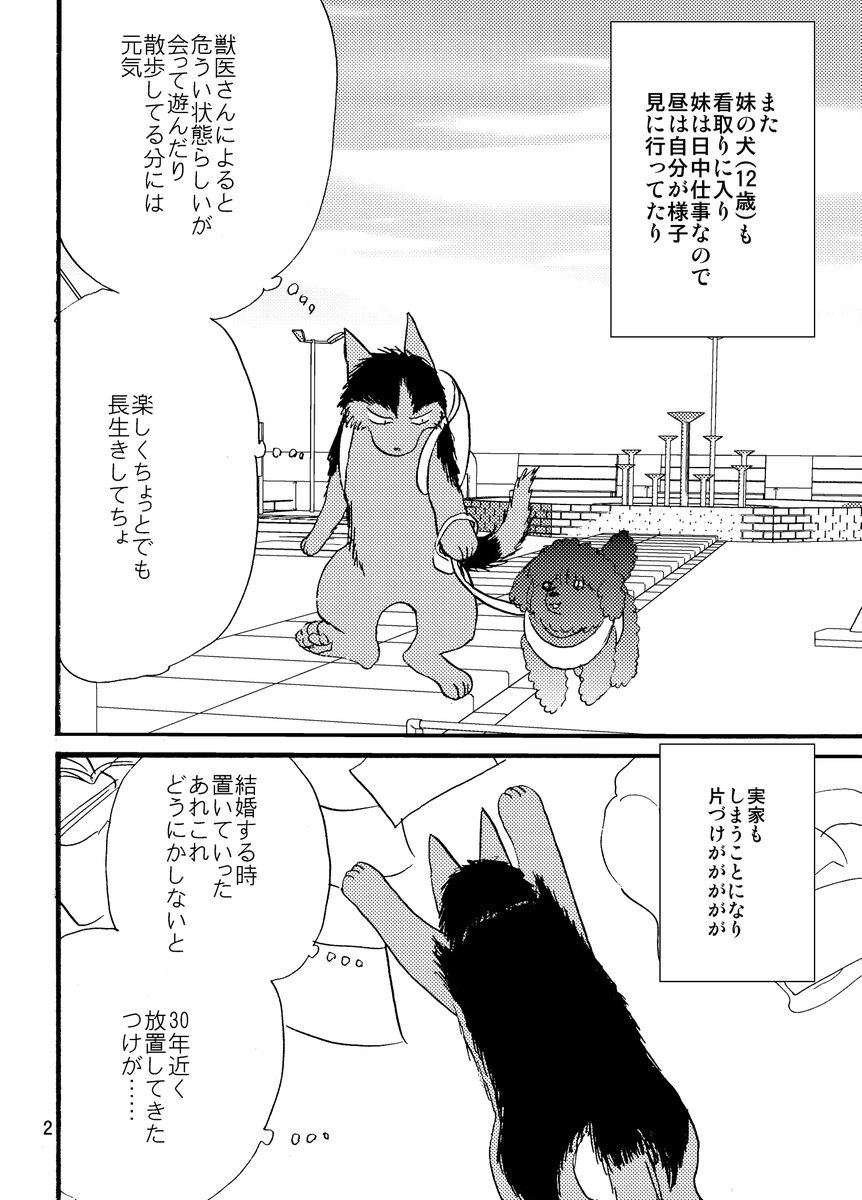 本日配布したチラシ 今日も今日とて介護の愚痴wwwwwww ｽﾐﾏｾﾝ＞＜