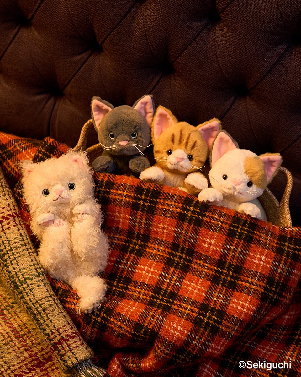 セキグチ公式オンラインショップ (@sekiguchi1918) / Posts / X