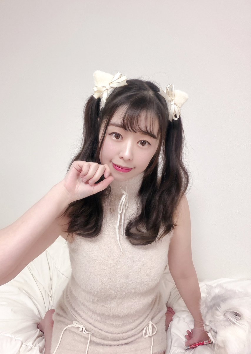 にゃんにゃんにゃんの日〜ˆ. ̫ . ˆ♡