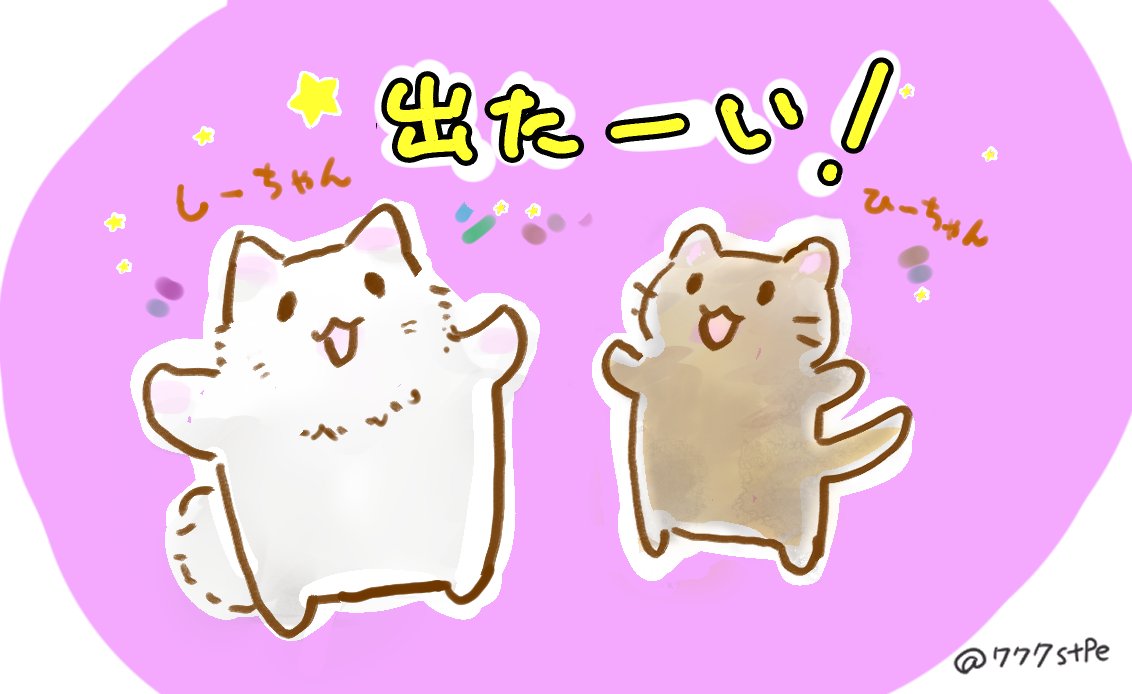 しーちゃん＆ひーちゃん 猫の日だって〜✨