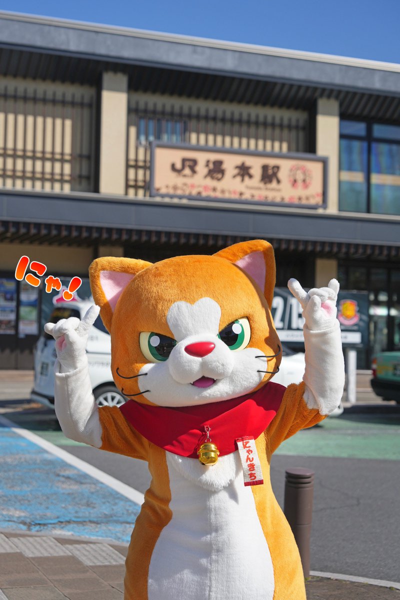 にゃん吉【公式】Nyankichi (@cat_nyankichi) / Posts / X