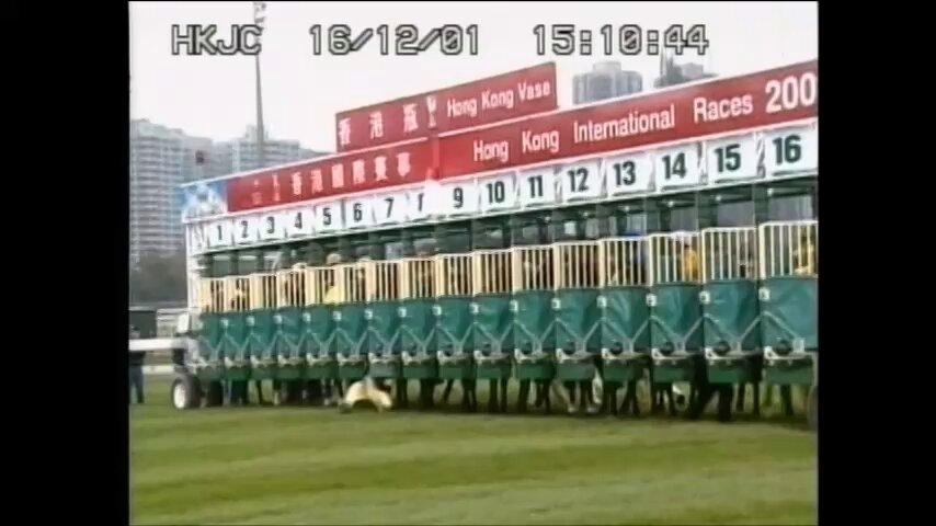 2001 Hong Kong Vase - Stay Gold 🇯🇵