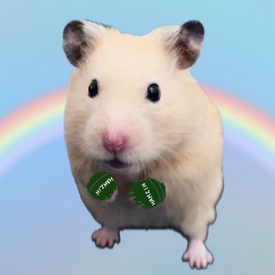 kinako🦊🪬 (@2525kina5) / Posts / X