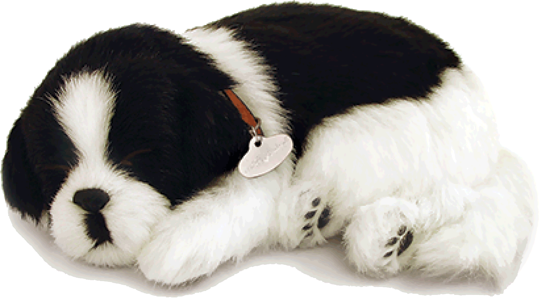 Original Border Collie Perfect Petzzz - Perfect Petzzz