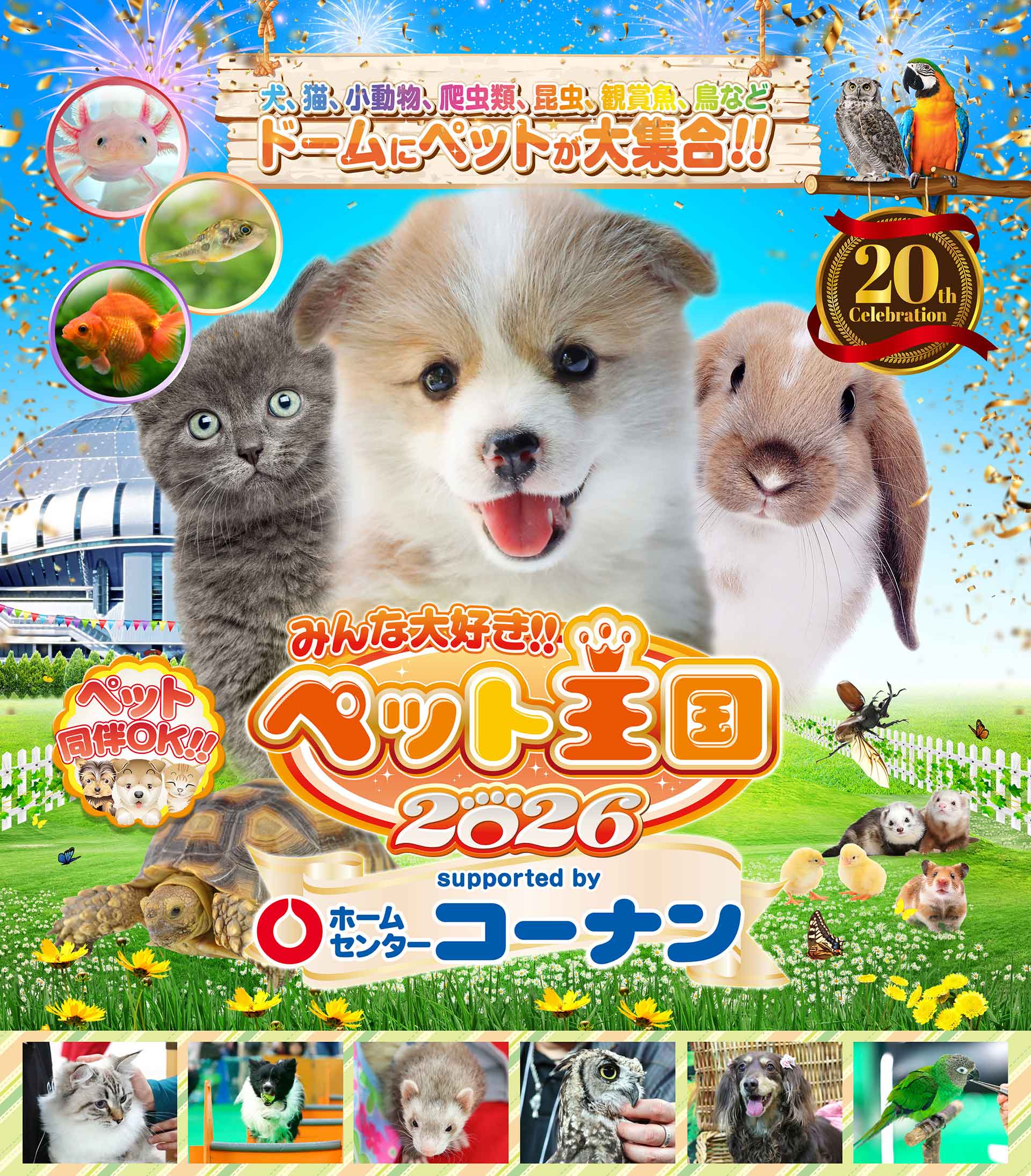 ペットイベント みんな大好き!!ペット王国2026（ペット同伴可）