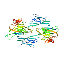 3nk3 - Crystal structure of full-length sperm receptor ZP3 at 2.6