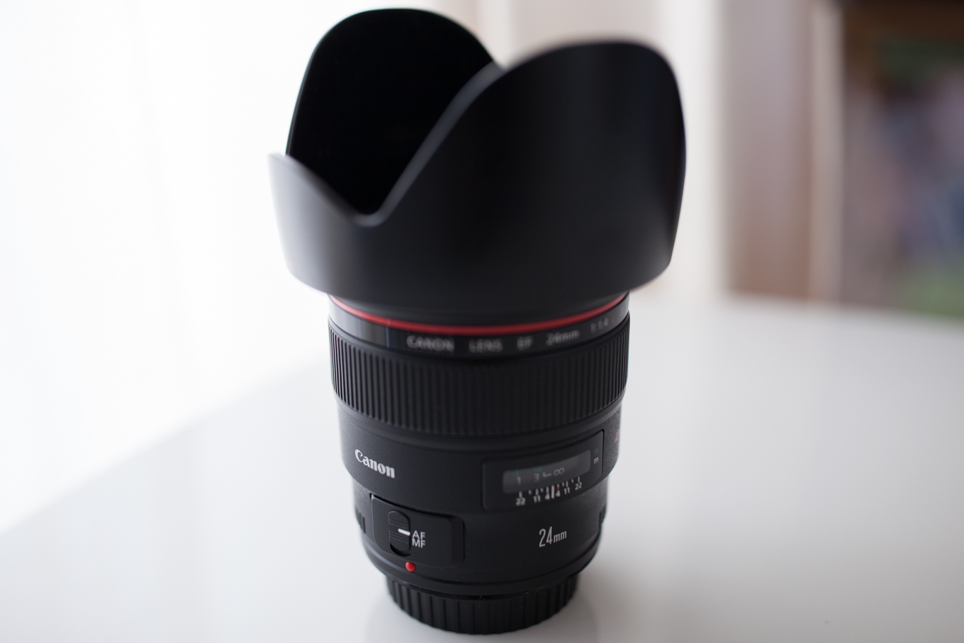 Canon EF24mm F1.4L II USM : Full of LIFE