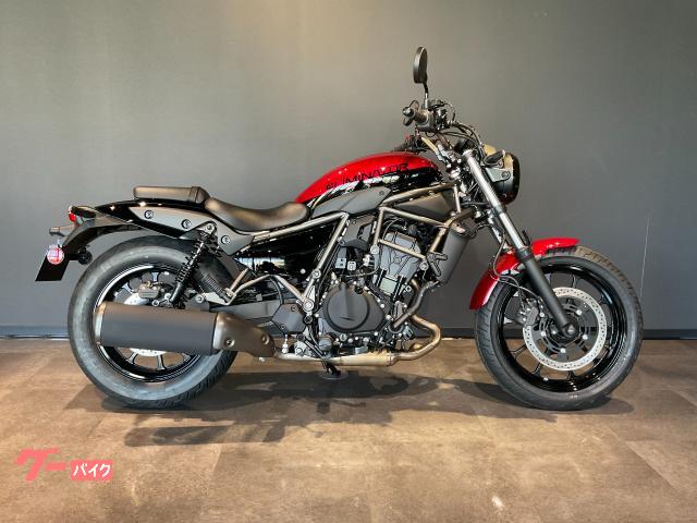 カワサキ（KAWASAKI）2017年 Ninja ZX-10RR・新登場のカタログ情報