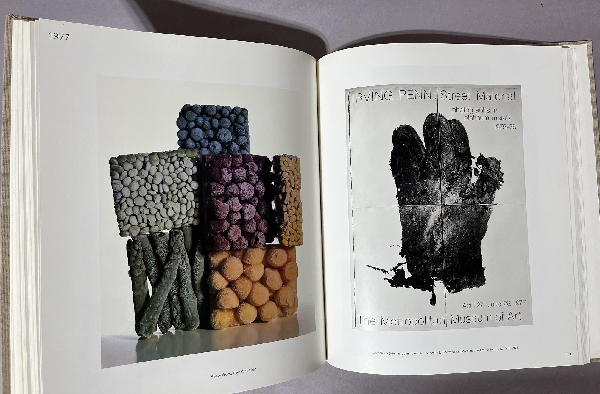 PASSAGE Irving Penn 写真集 1987年 PASSAGE Irving Penn 写真集 1987