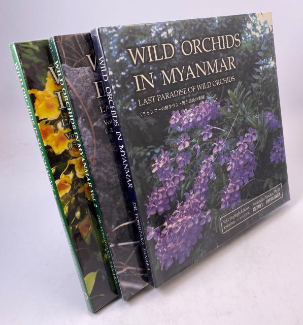 ミャンマーの野生ラン WILD ORCHIDS IN MYANMAR 〜 ミャンマーの野生