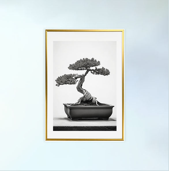 セレーネ盆栽のアートポスター:serene_bonsai_bdcf 通販