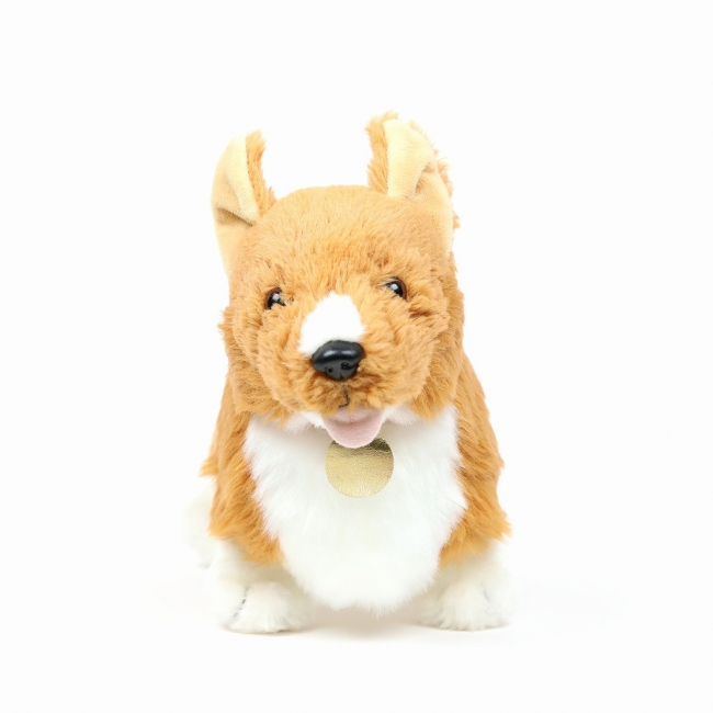 放送20周年『カウボーイビバップ』より、アインのぬいぐるみ、本革パス