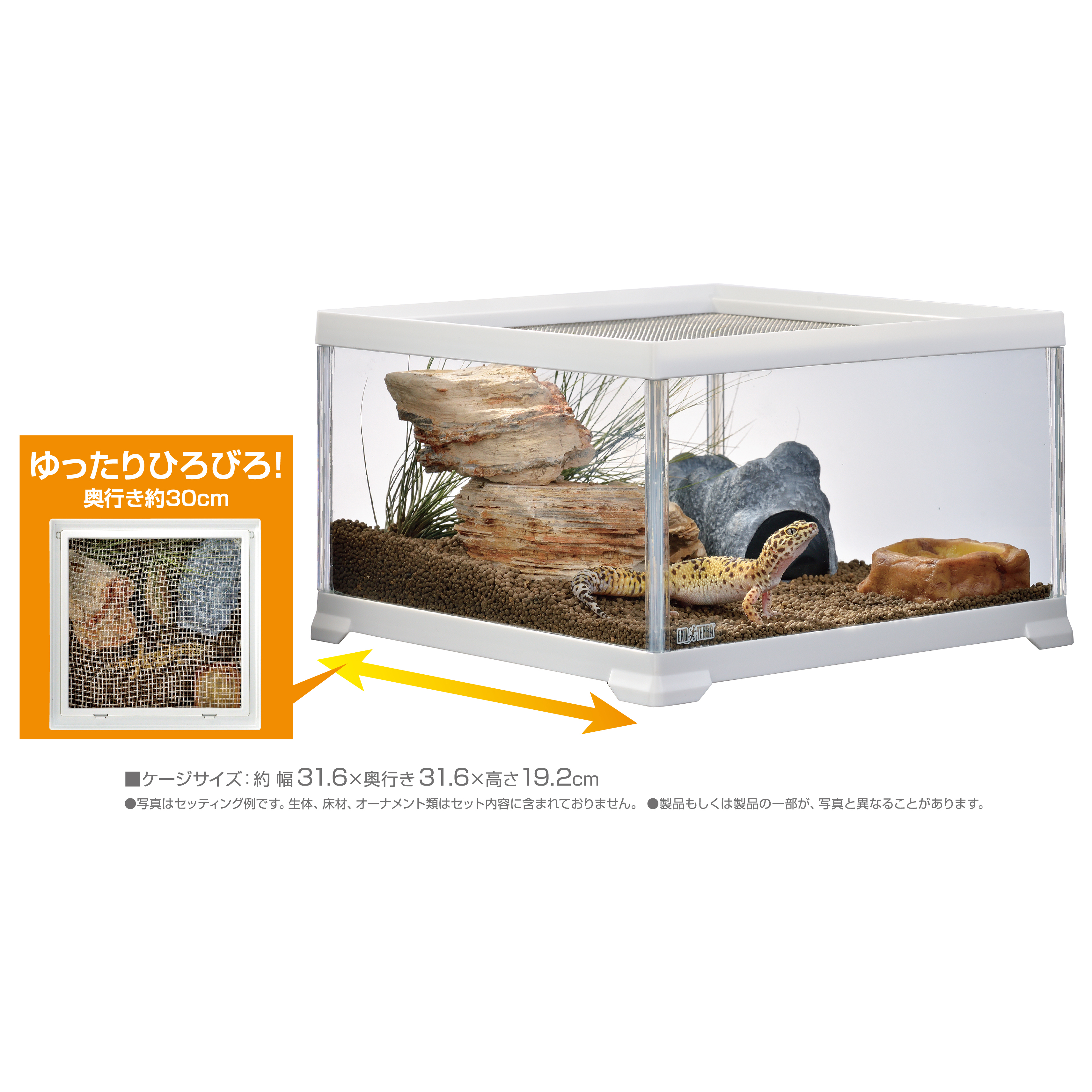 レプテリアホワイト300CUBE Low | ジェックス株式会社