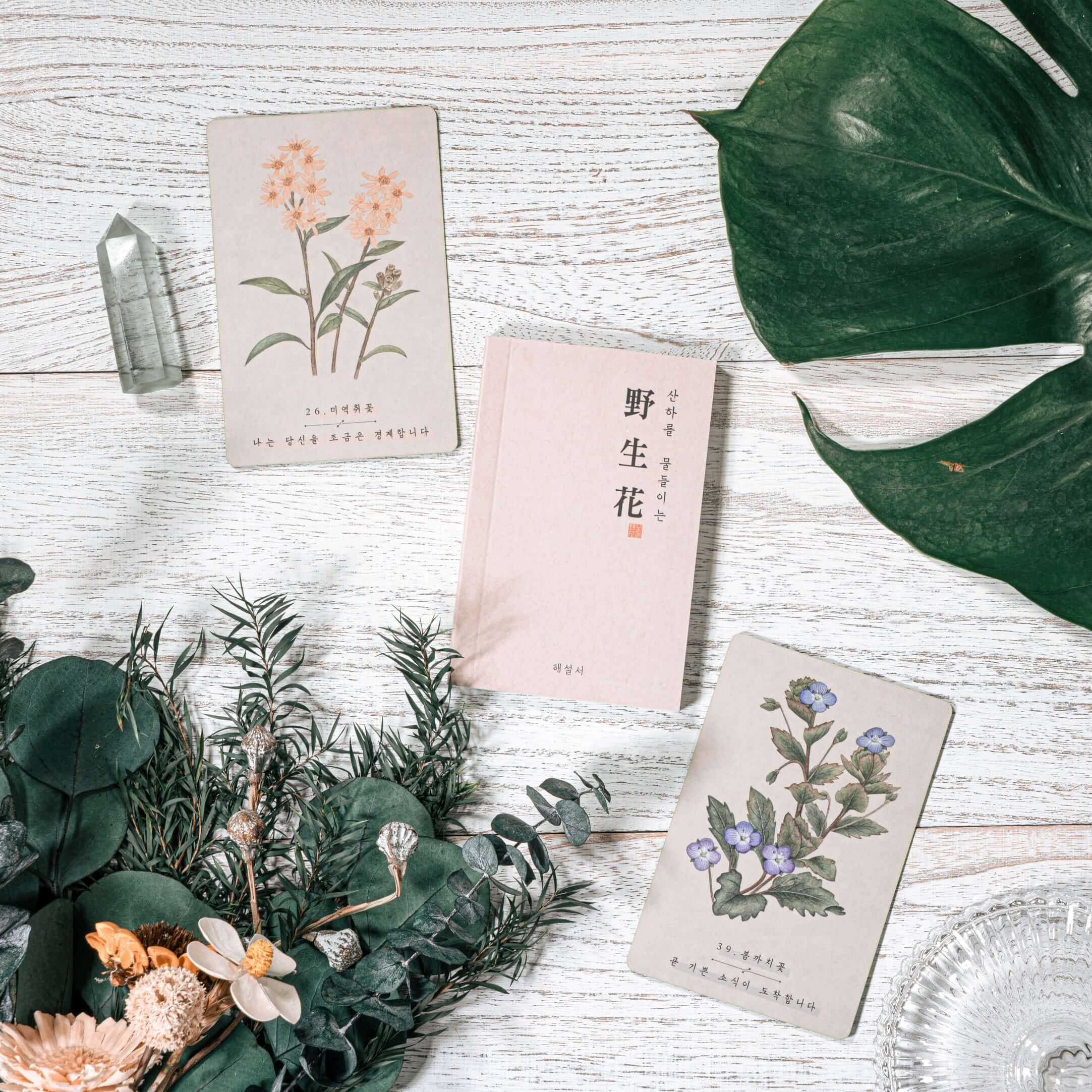 PRIME MUSE 韓国の野生の花のアドバイス オラクル タロット カード日本