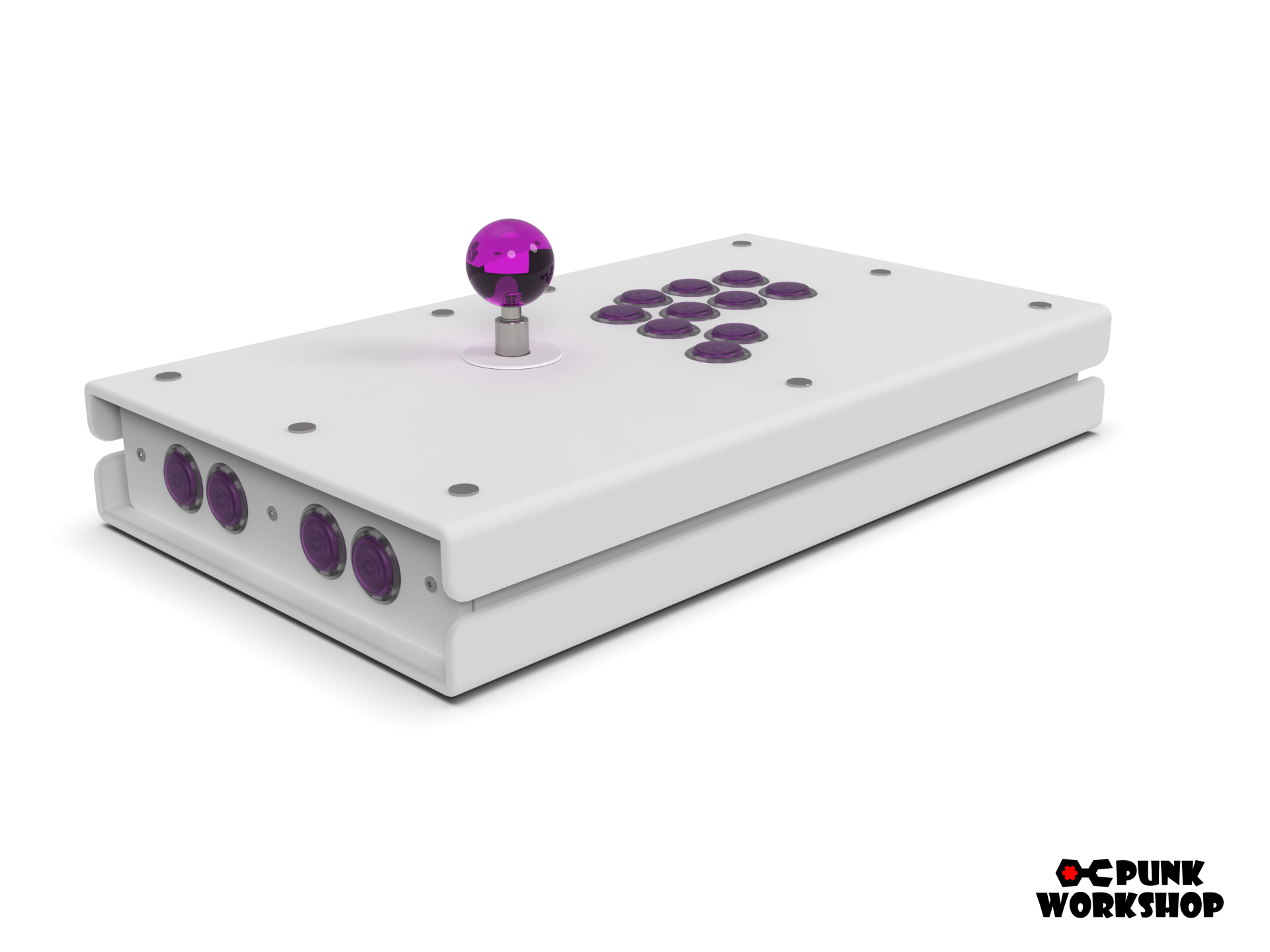 PWS FS ver. PGR – PUNK WORKSHOP JAPAN