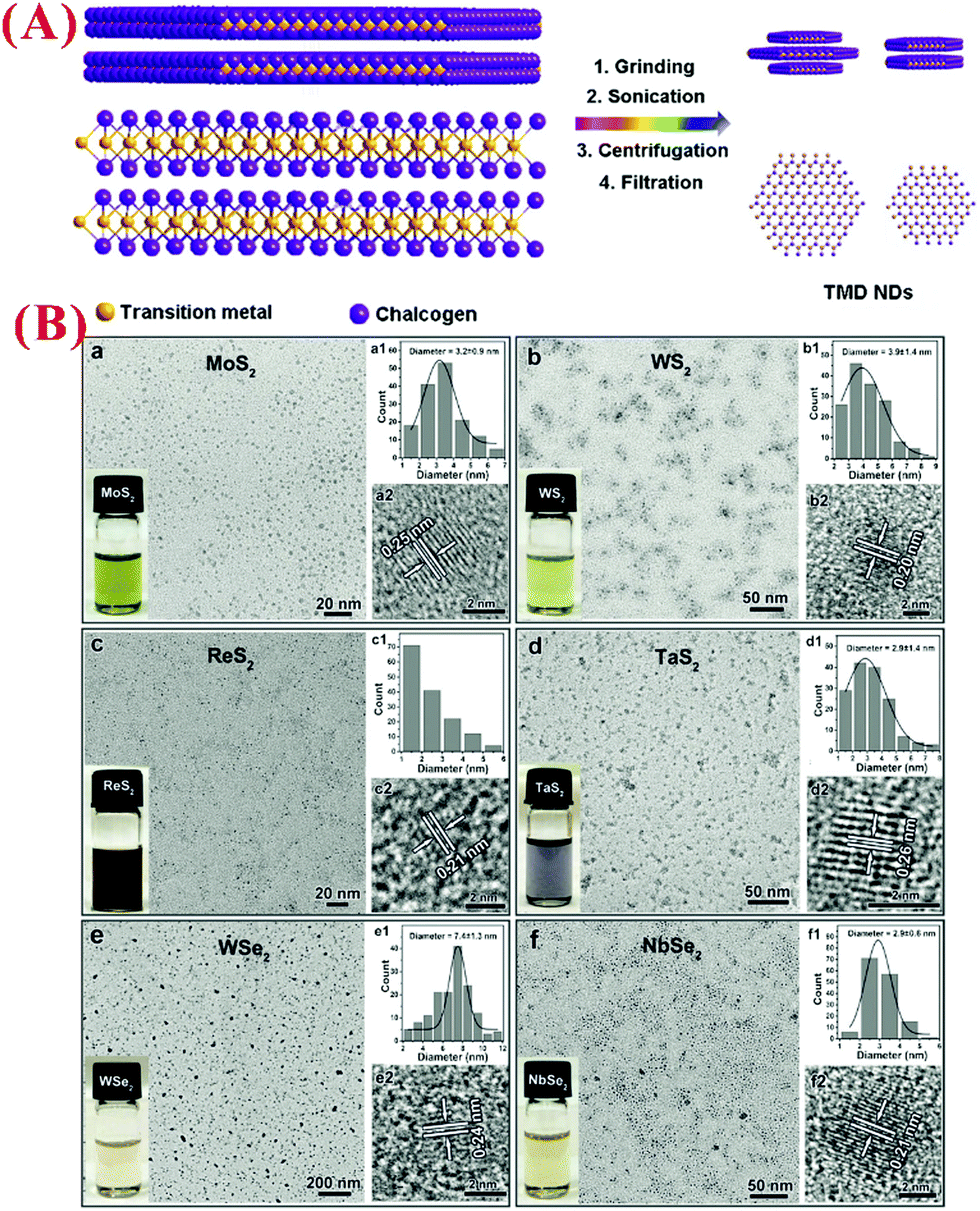 Transition metal dichalcogenide quantum dots: synthesis