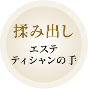 4D STYLE STINGER｜業務用エステ機器・化粧品の総合美容メーカー 株式