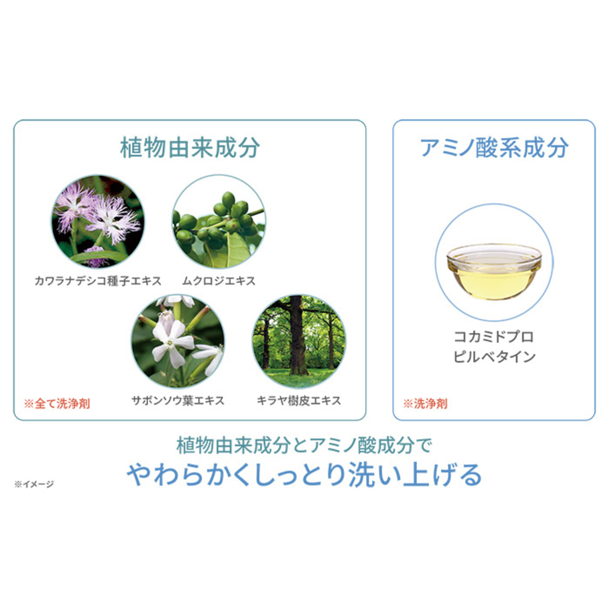 オーデュオー コットンフォームマーベラスモイスト 本体200ml