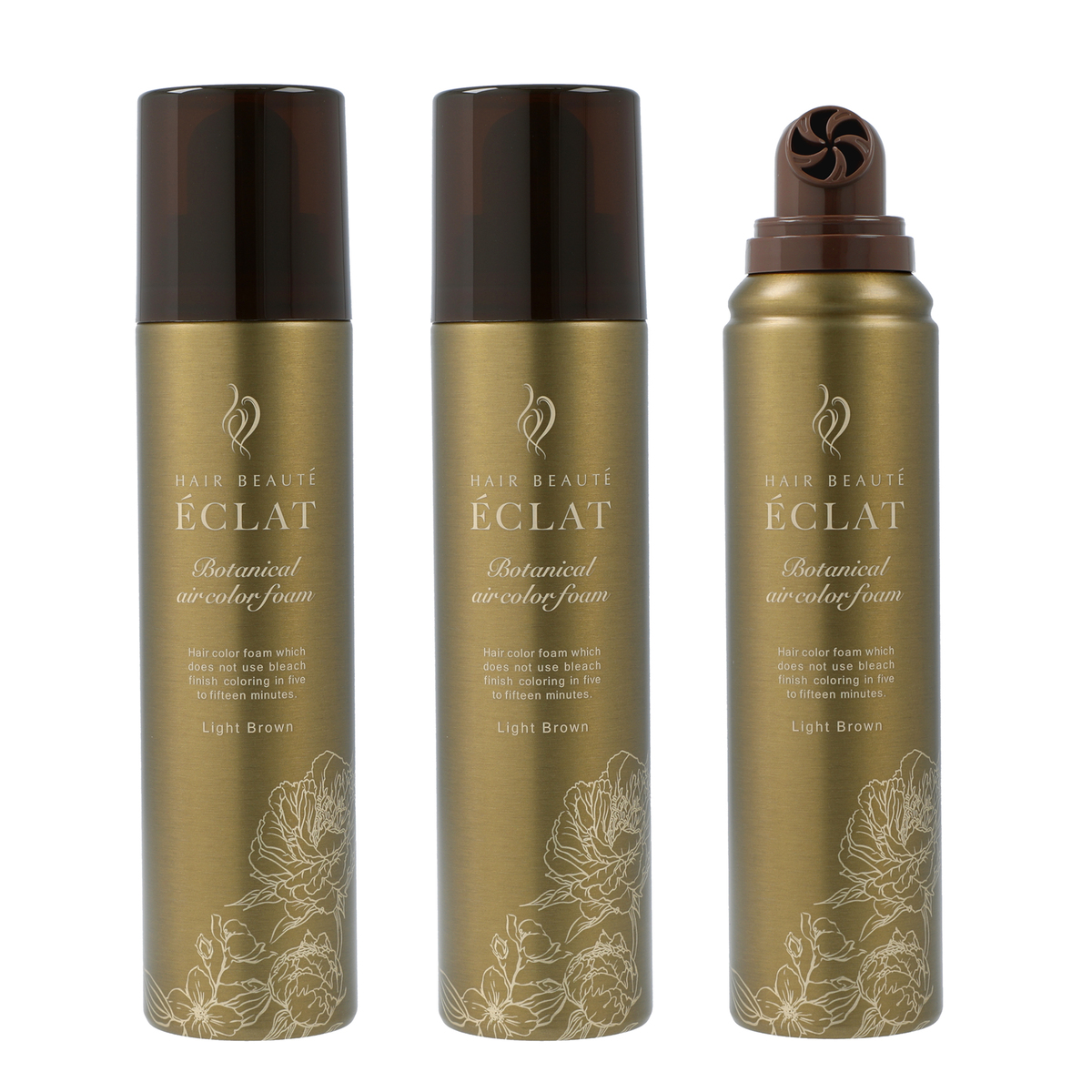 ヘアボーテエクラボタニカルエアカラーフォームup3本P付特別セット