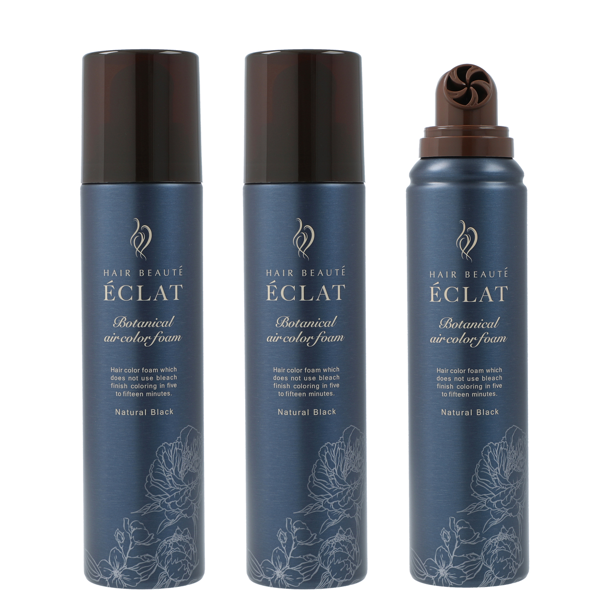 ヘアボーテエクラボタニカルエアカラーフォームup3本P付特別セット