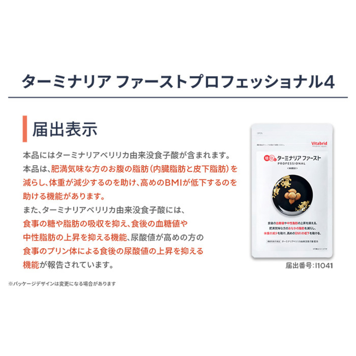 ターミナリアファーストプロフェッショナル4[360粒]+サプリケース