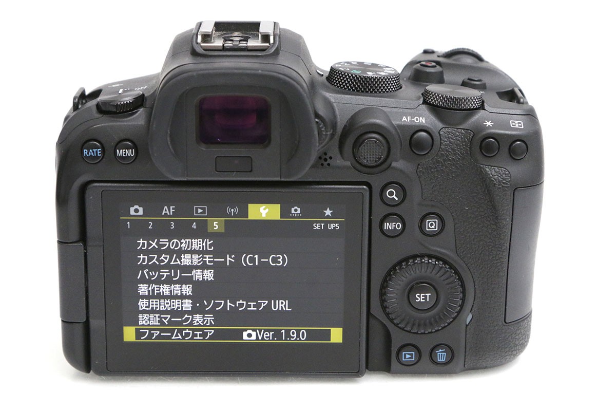 EOS R6 ボディ（純正予備バッテリー付属） CA01-B4798-2S5 | キヤノン