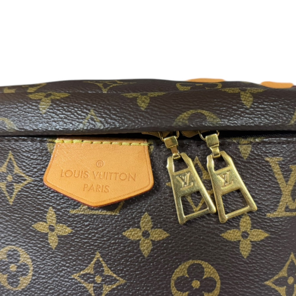 LOUIS VUITTON Louis Vuitton Bum Bag Monogram Body Bag Monogram