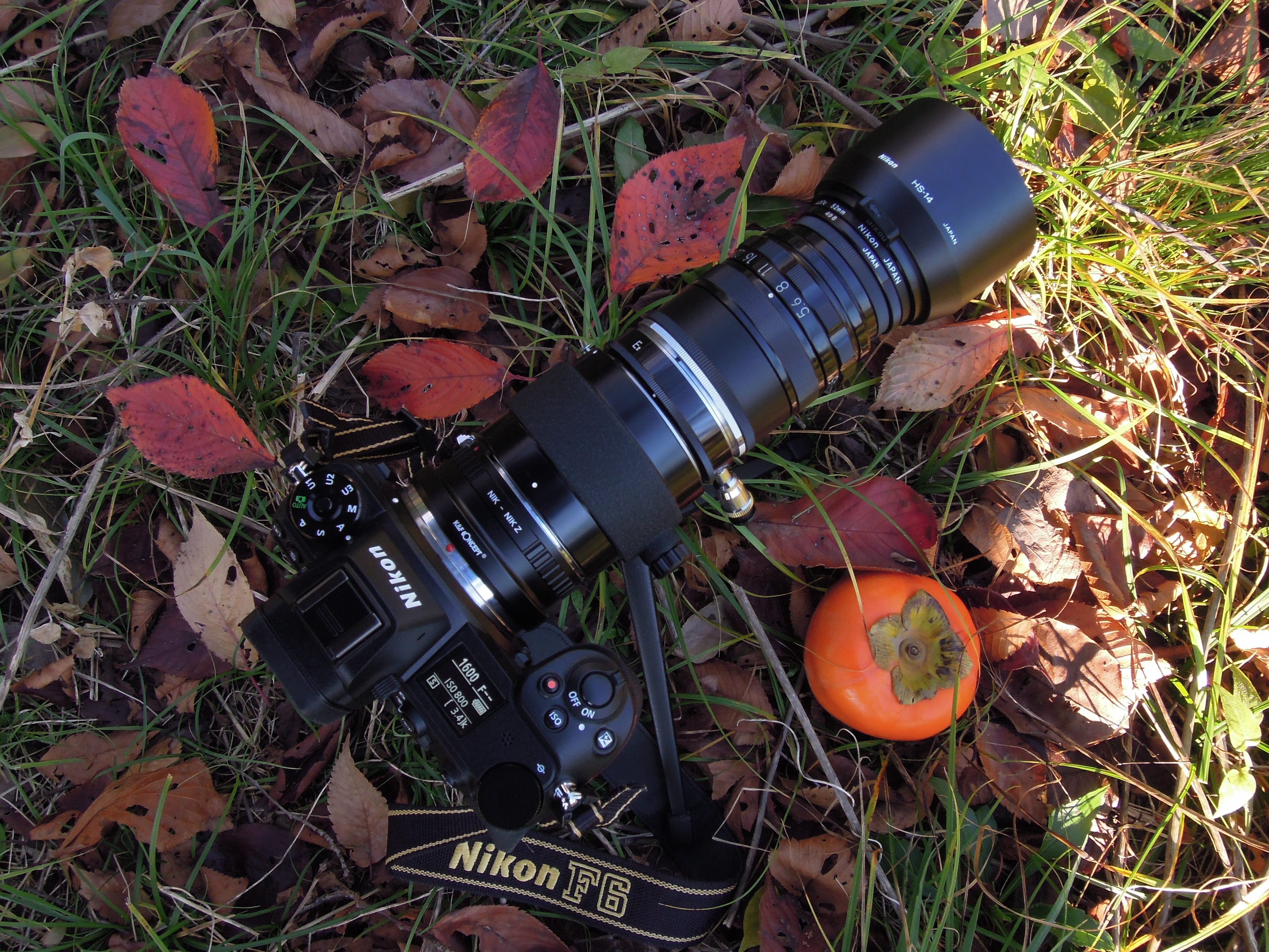 EL Nikkor 150mm F5.6 1