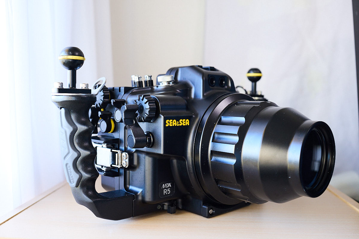 Canon EOS R5用水中ハウジングはSEA&SEAがおすすめな3つの理由 - 失敗