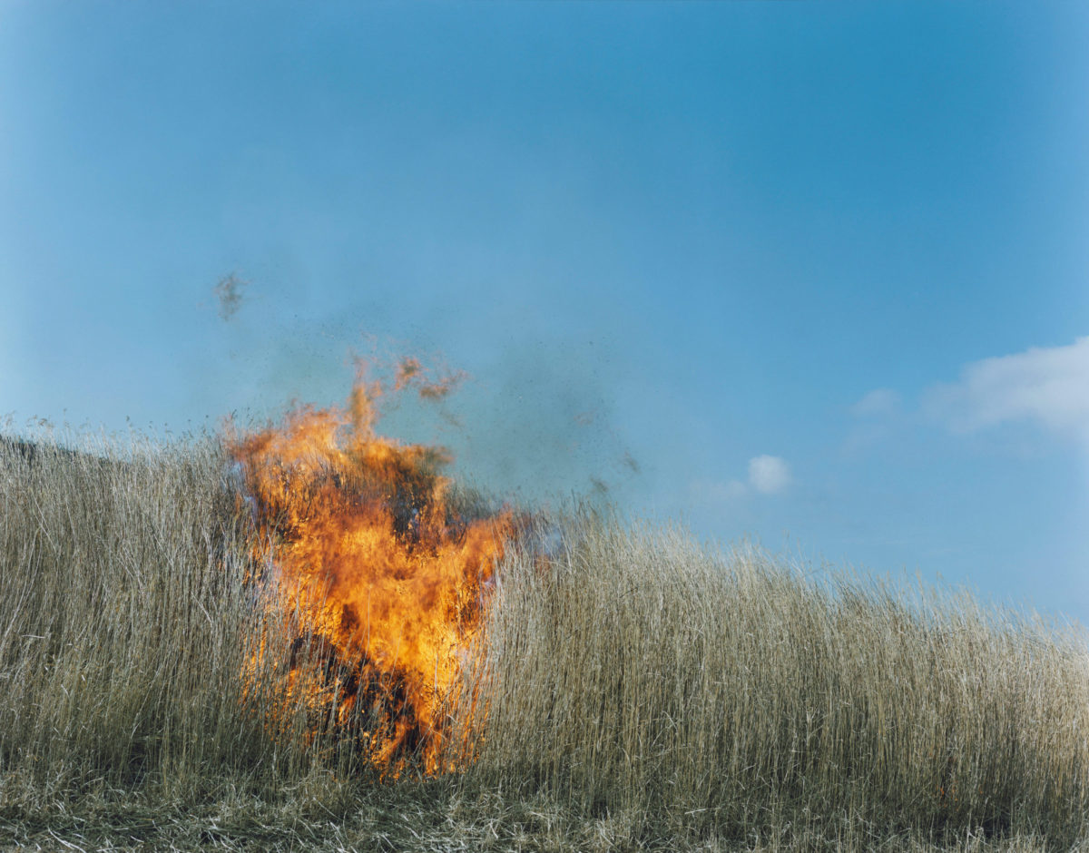 Rinko Kawauchi – 川内倫子 | あめつち