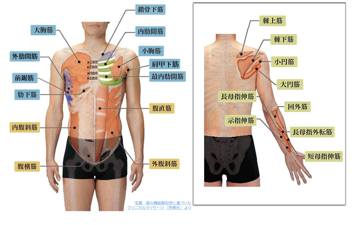 天城流湯治法 肩痛 腕痛 天城流マイスター 小松 隆