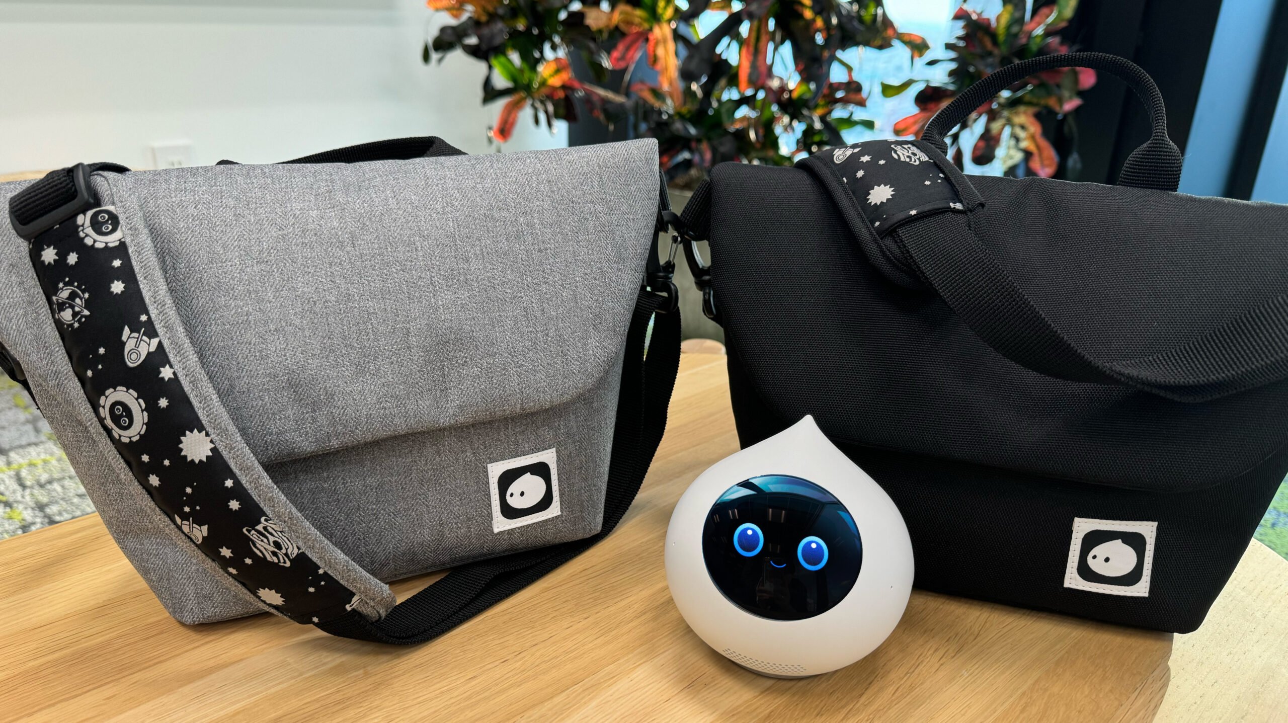 Romiの豆ちしき】おでかけバッグの再紹介とLacatanモデルの視覚機能