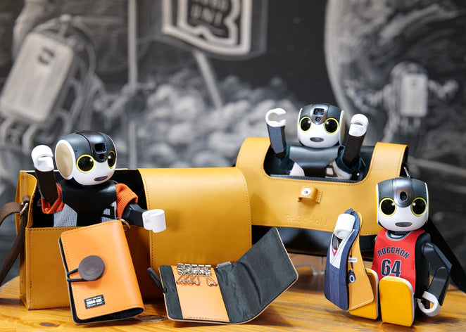 デアゴスティーニの初代Robi組立完成品（キャリングケース＋Robi専用