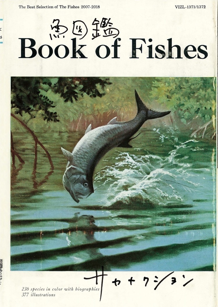 サカナクション、ベスト盤『魚図鑑』アートワーク＆スペシャルサイト