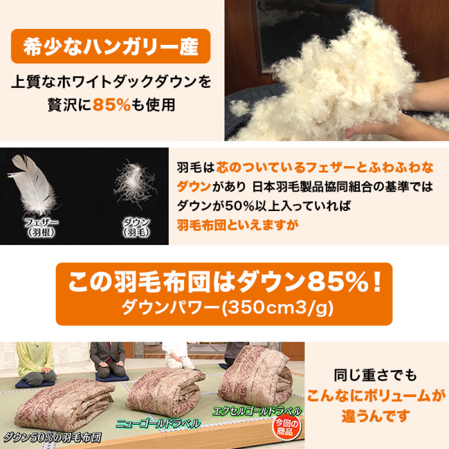 モリリン ハンガリー産4つ星ホワイトダックダウン高級羽毛掛け布団