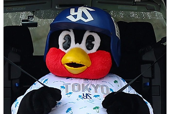 つば九郎が体調不良 プロ野球キャンプ イベント中止、オープン戦も出演