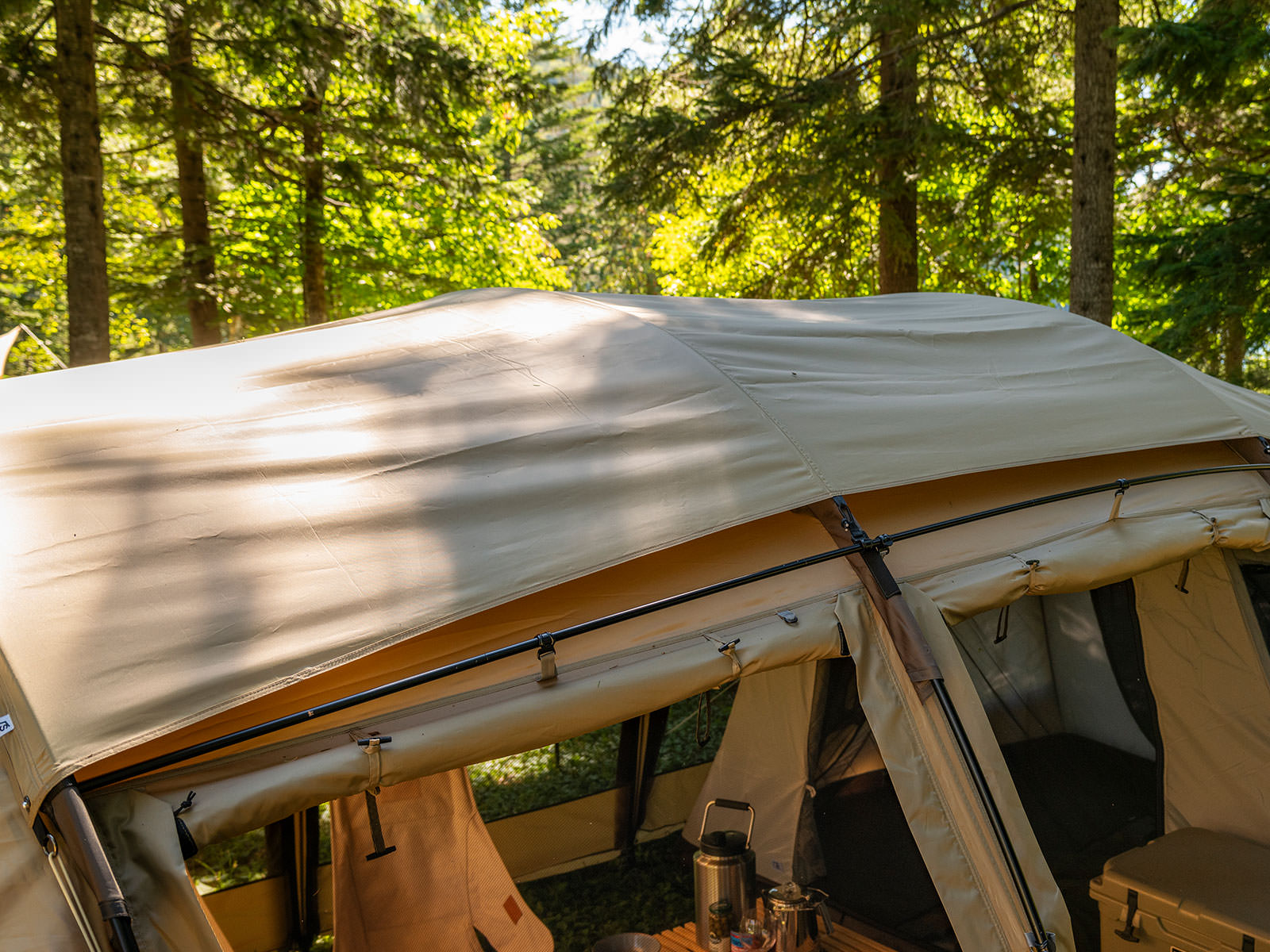 アルニカ ルーフシート - 地球の、道具。サバティカル。 オフィシャル